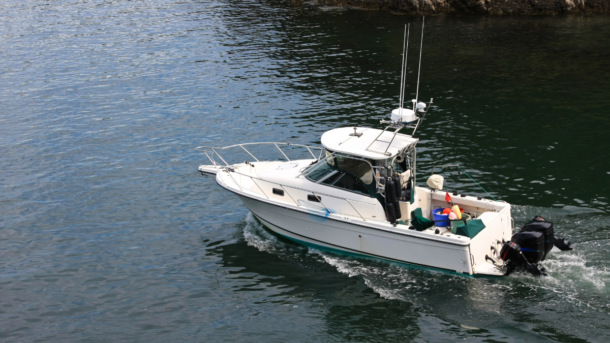 How to Support Western Australia’s Fishing Industry