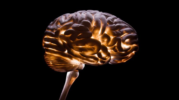 Why Your Brain Feels Overloaded (and How to Fix It)